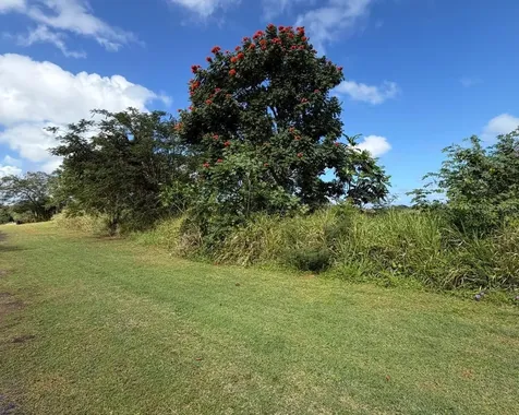 Sector Manantiales, Bo. Sabana Hoyos Arecibo PR 00612