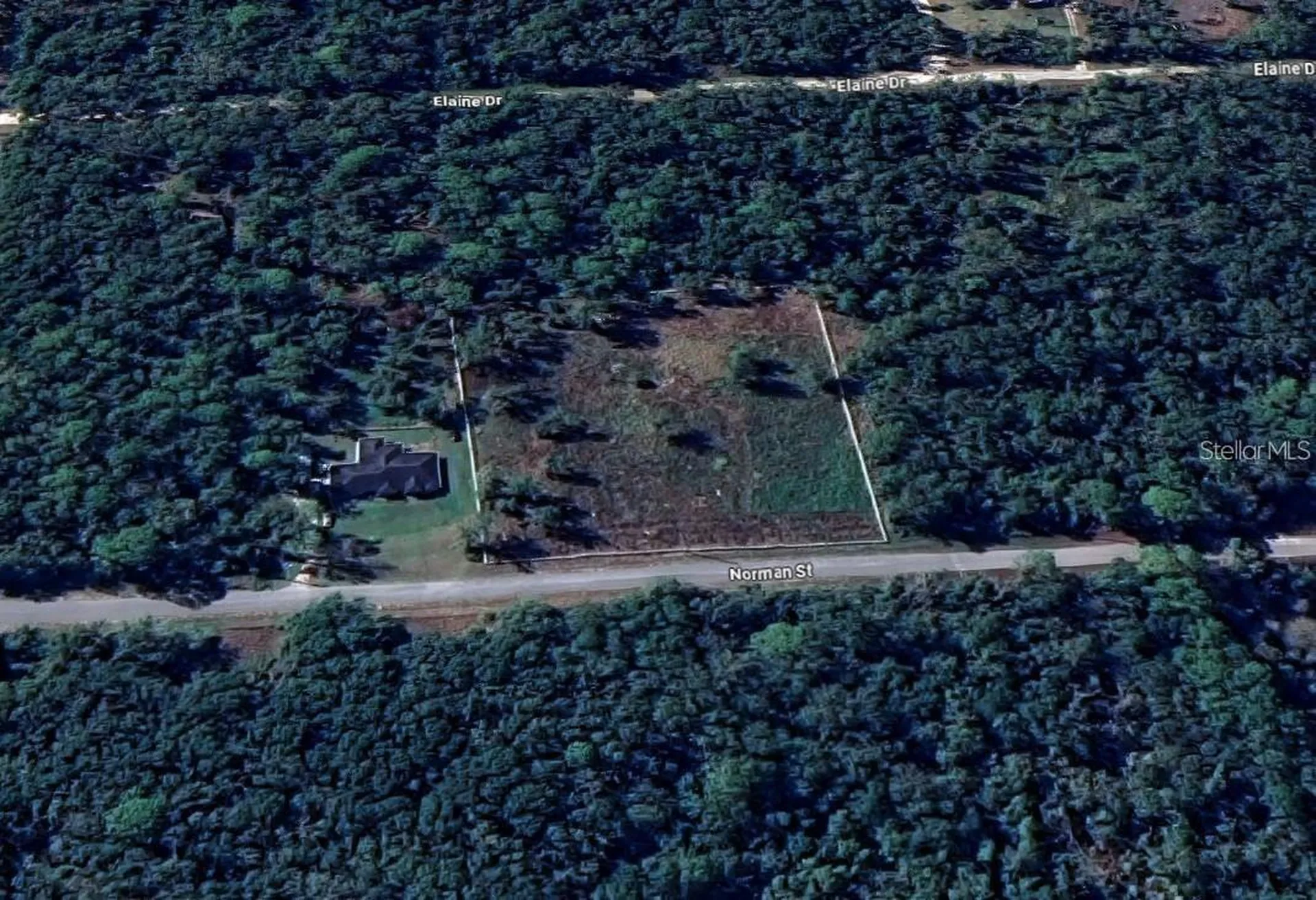7285 Norman Street Webster FL 33597