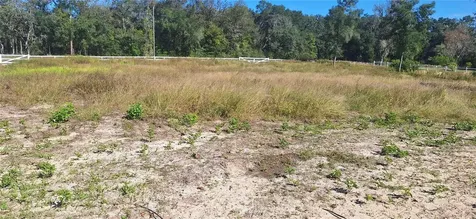7285 Norman Street Webster FL 33597