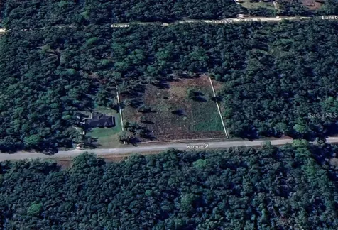 7285 Norman Street Webster FL 33597