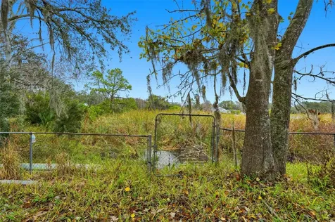 12227 Terra Ceia Avenue New Port Richey FL 34654