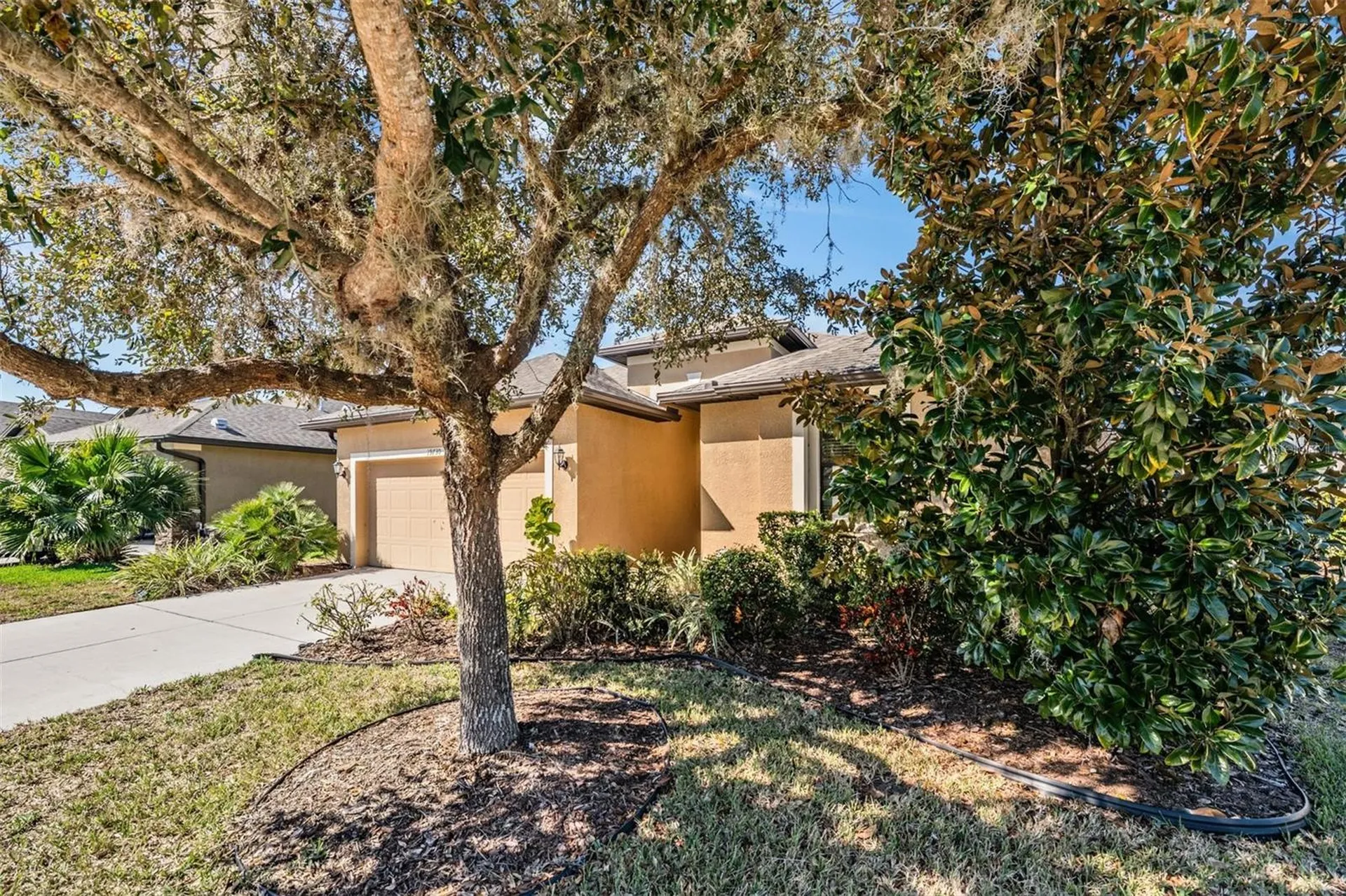 Land O Lakes FL 34638