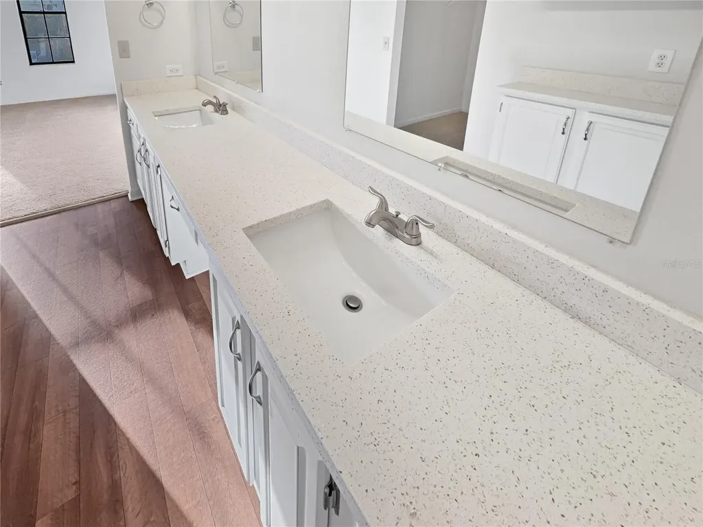 3415 Bloomingdale Oaks Drive Valrico FL 33596