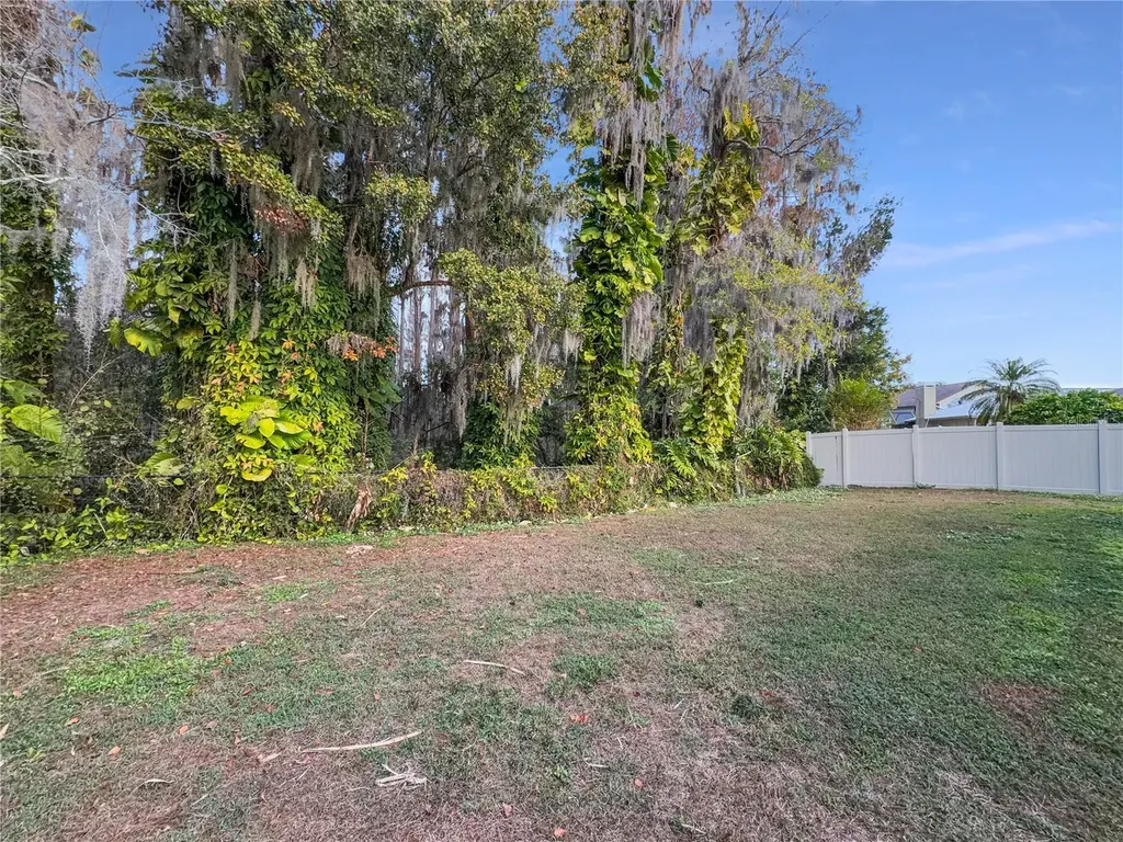 3415 Bloomingdale Oaks Drive Valrico FL 33596