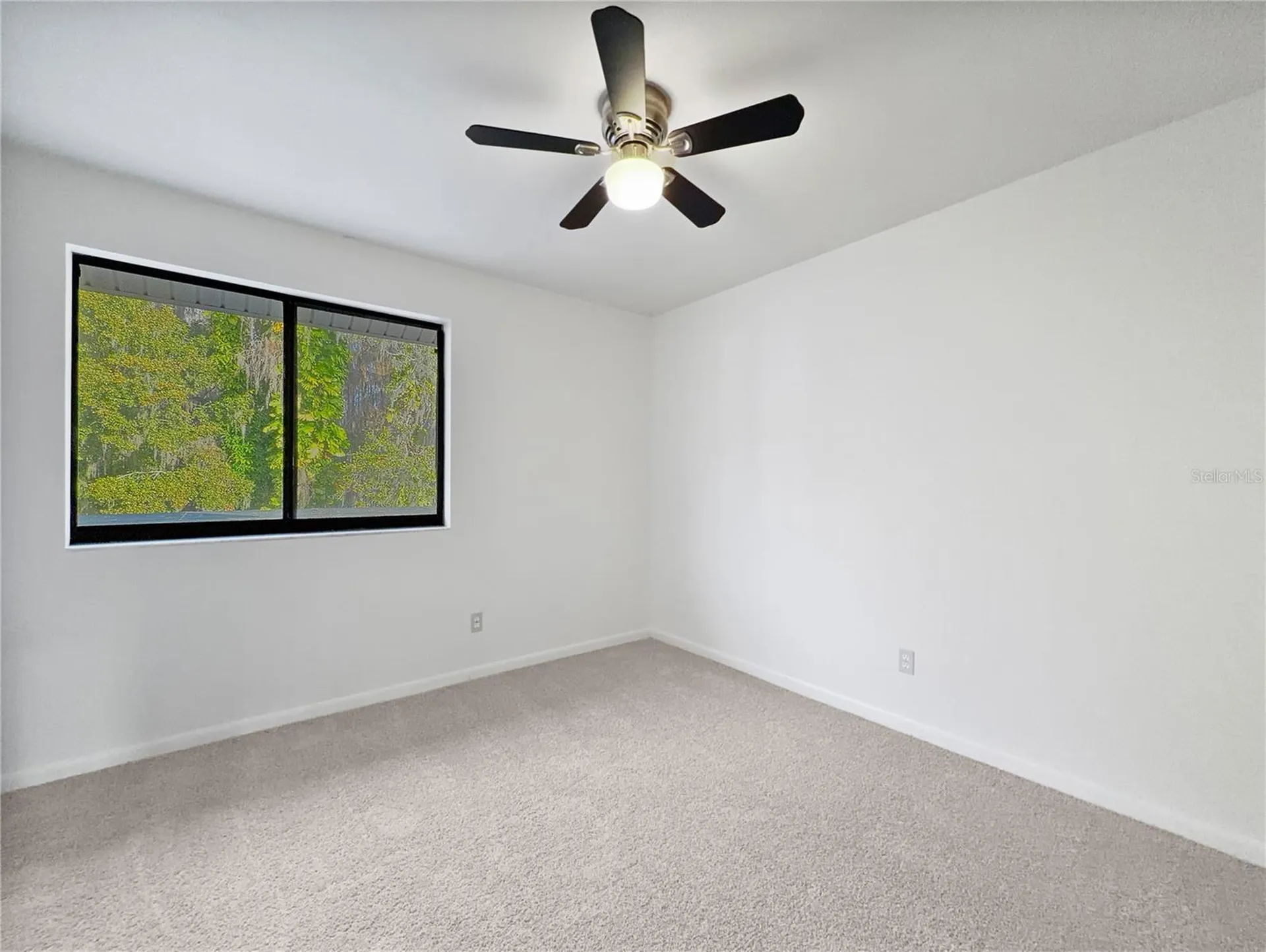3415 Bloomingdale Oaks Drive Valrico FL 33596