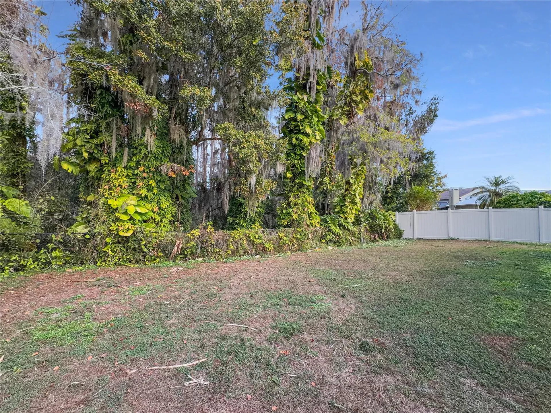 3415 Bloomingdale Oaks Drive Valrico FL 33596
