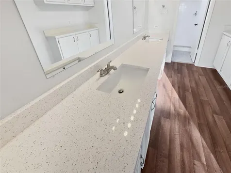 3415 Bloomingdale Oaks Drive Valrico FL 33596