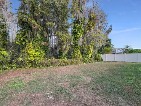 3415 Bloomingdale Oaks Drive Valrico FL 33596