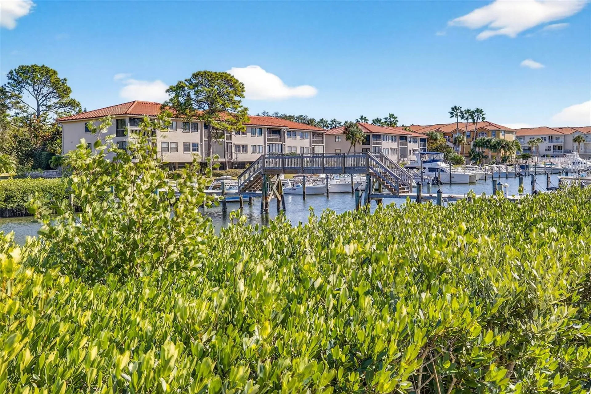 1805 Mariner Drive Tarpon Springs FL 34689