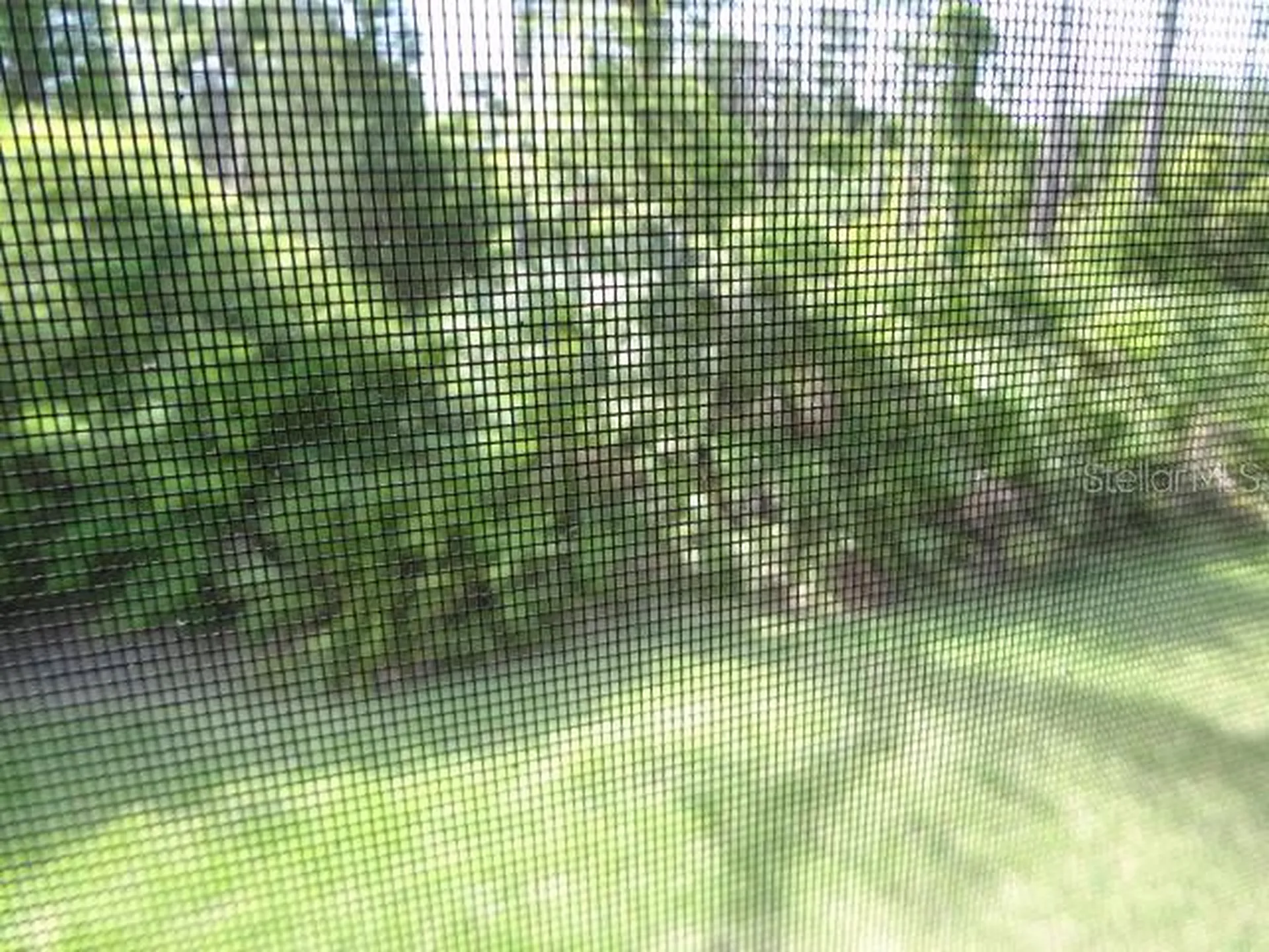 12 Hembury Lane Palm Coast FL 32137