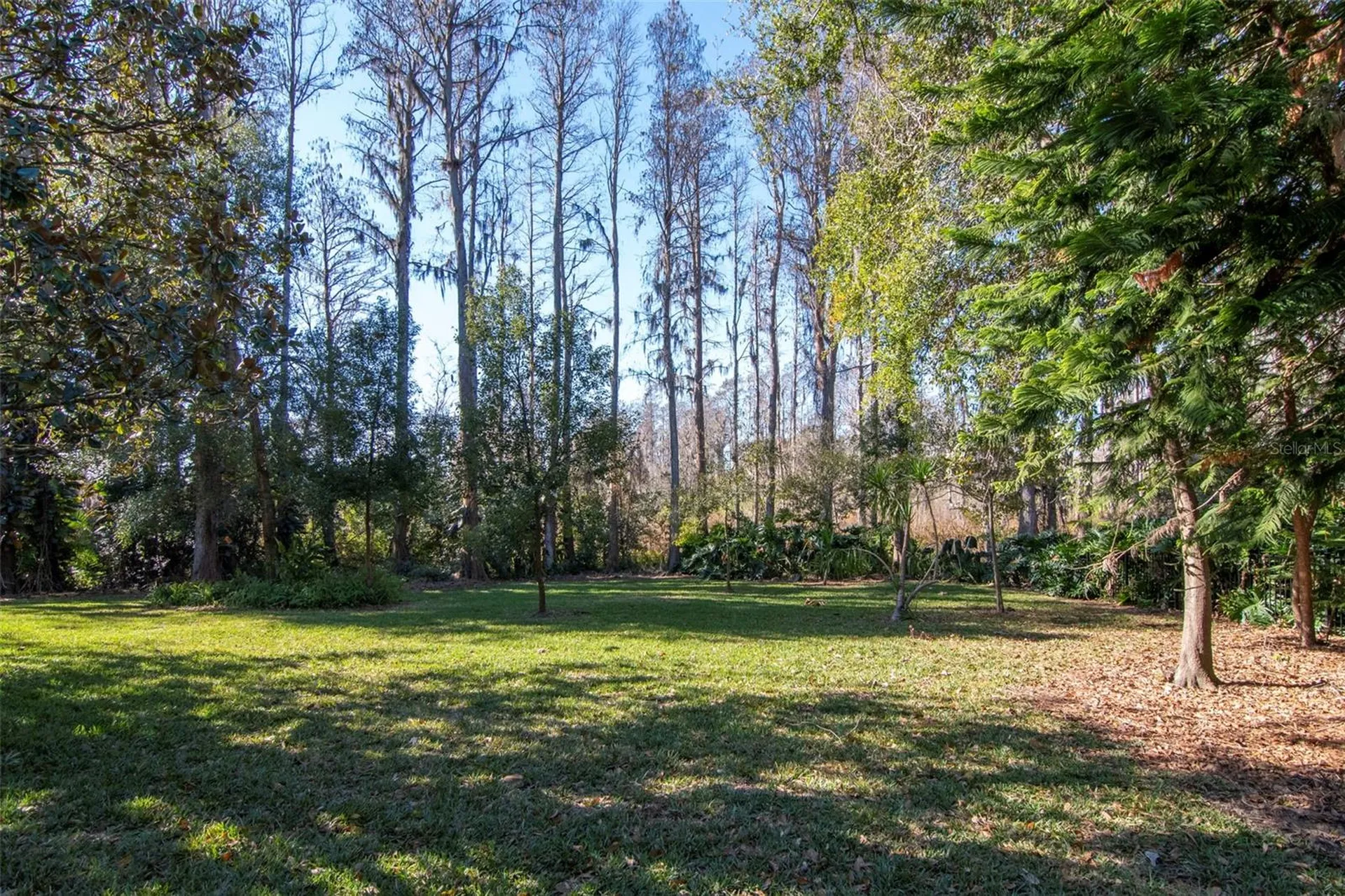 18306 Pleasant Ridge Place Lutz FL 33548
