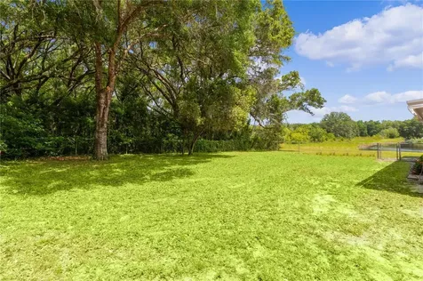302 Ivanhoe Circle Lady Lake FL 32159