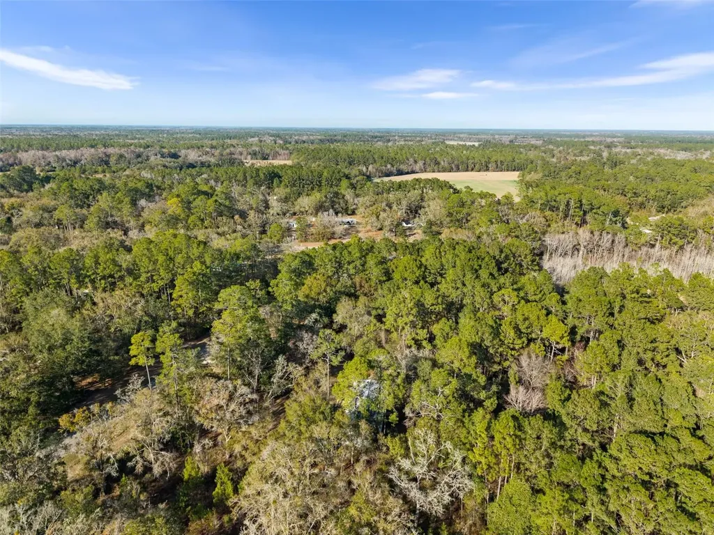 11919 NW 23rd Drive Gainesville FL 32609