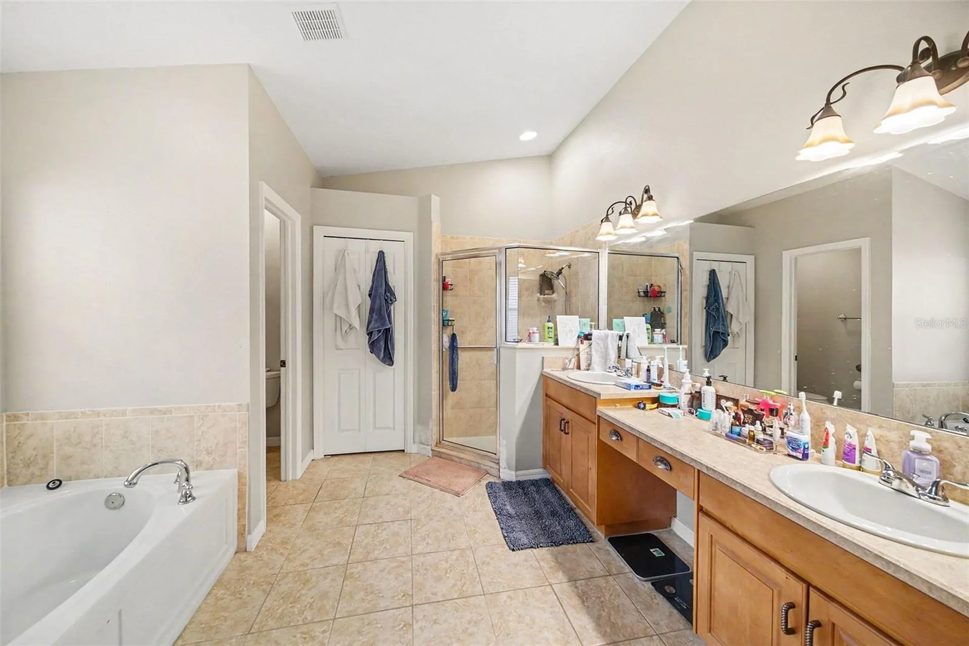 215 Fern Gulley Drive Seffner FL 33584