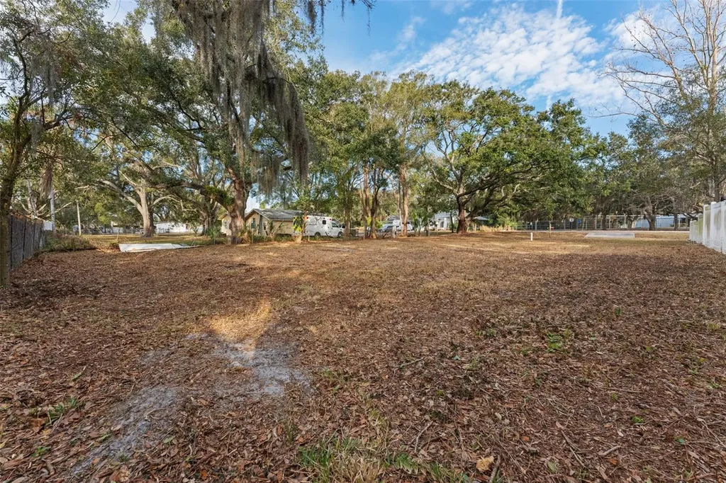 503 Buckingham Avenue W Oldsmar FL 34677