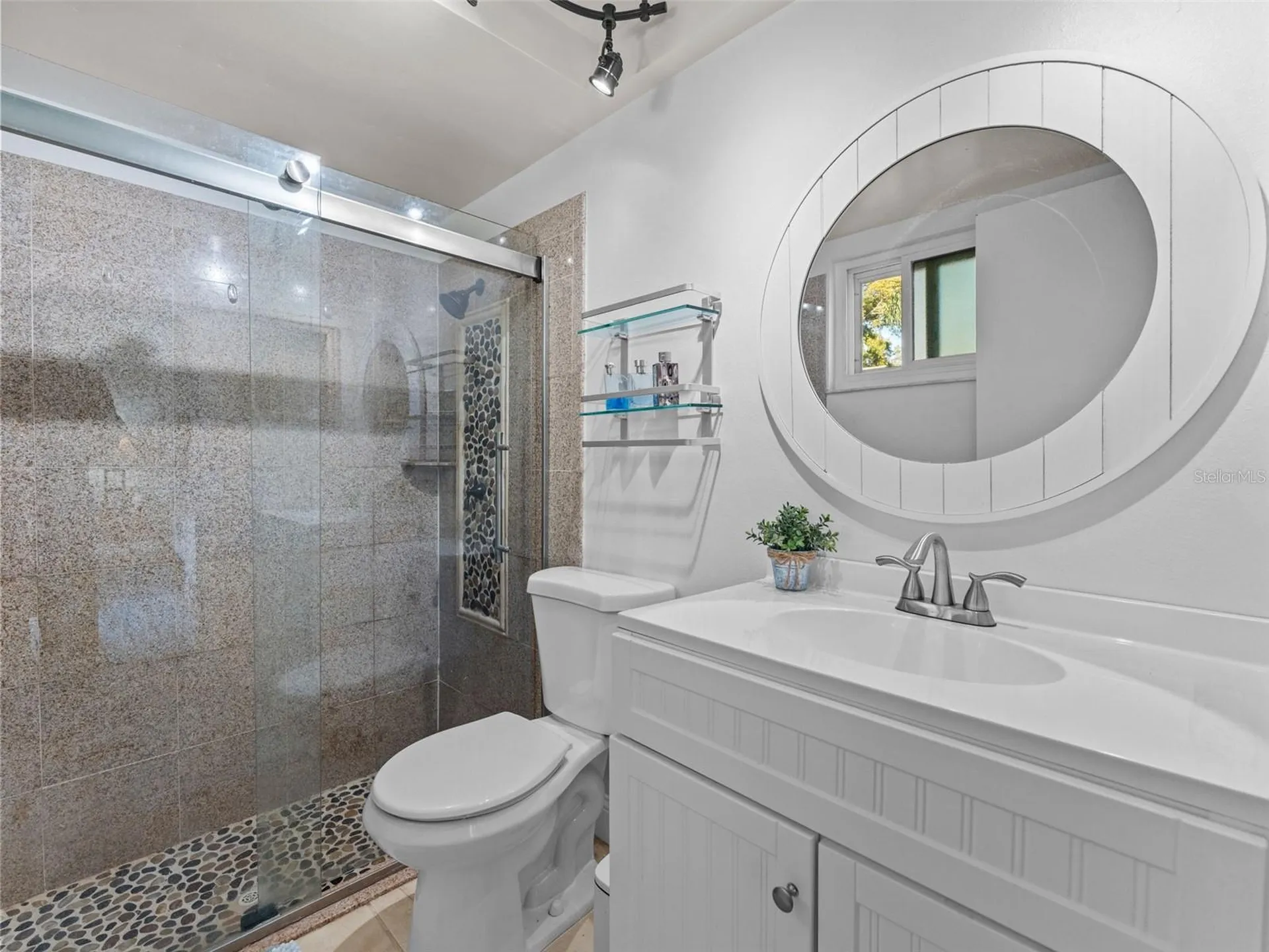 1768 W Groveleaf Avenue Palm Harbor FL 34683