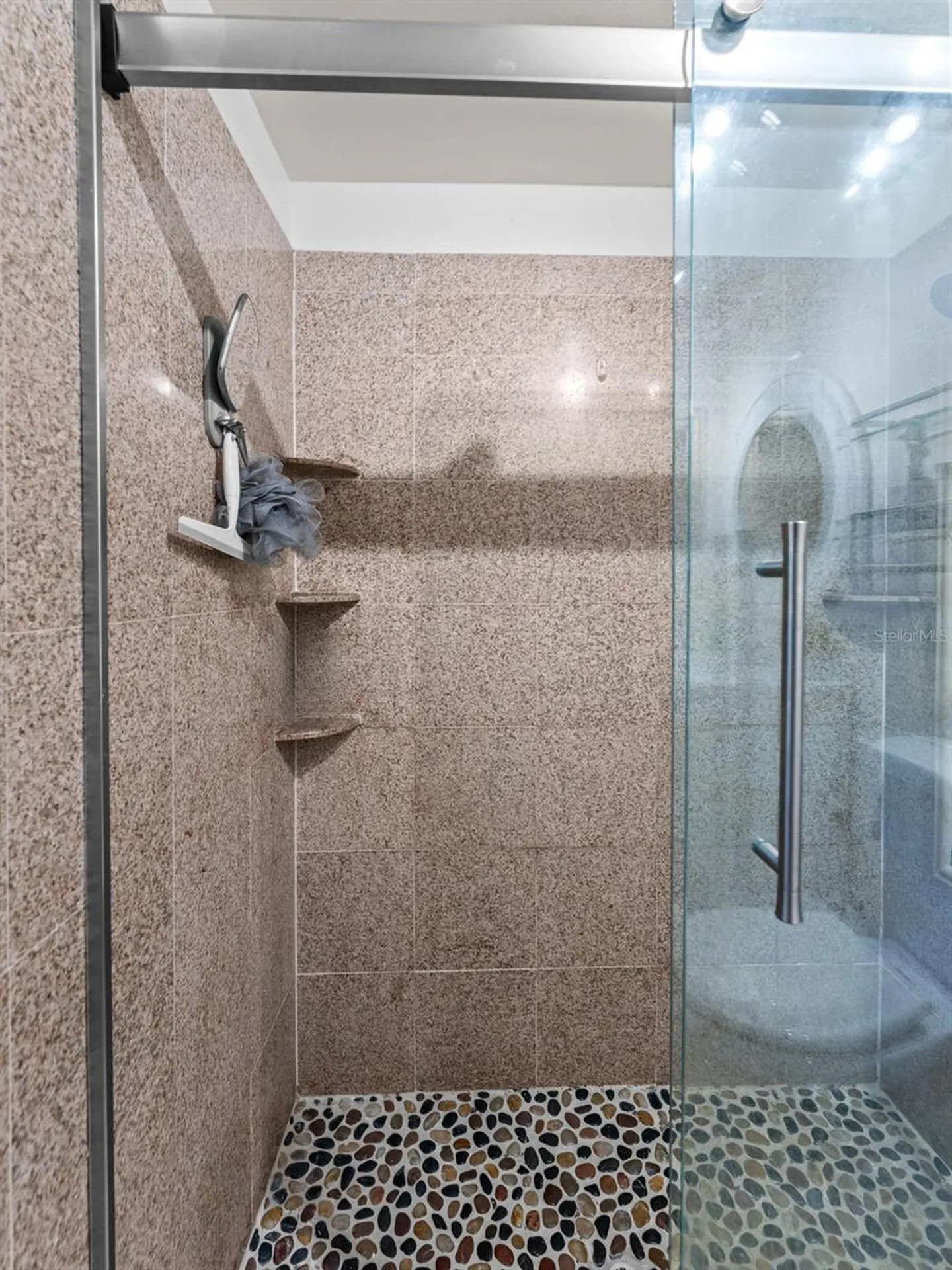 1768 W Groveleaf Avenue Palm Harbor FL 34683