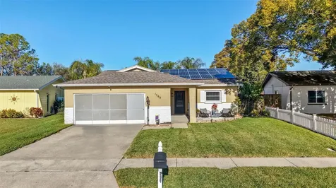 1768 W Groveleaf Avenue Palm Harbor FL 34683