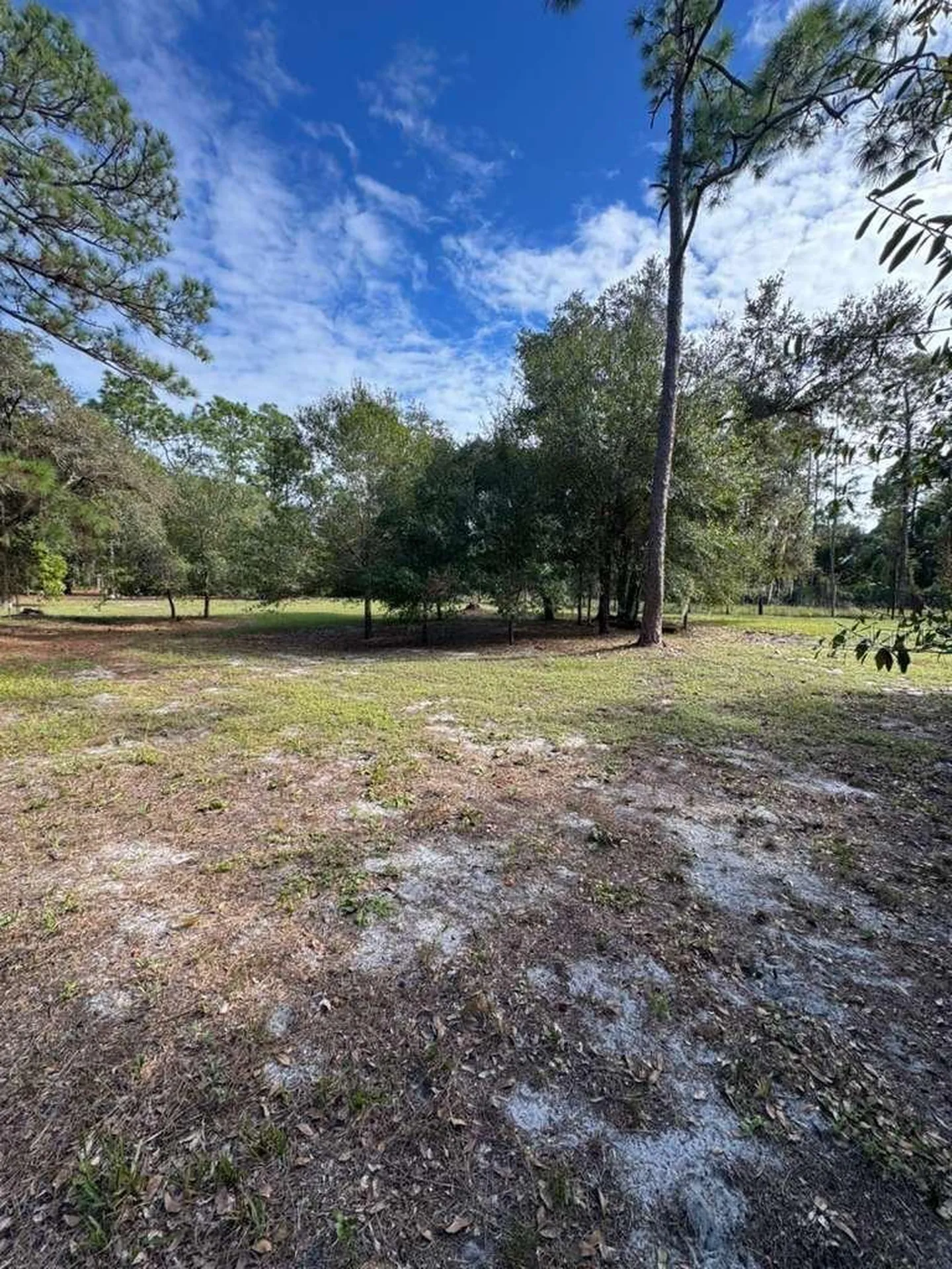 415 N Verda Street Clewiston FL 33440