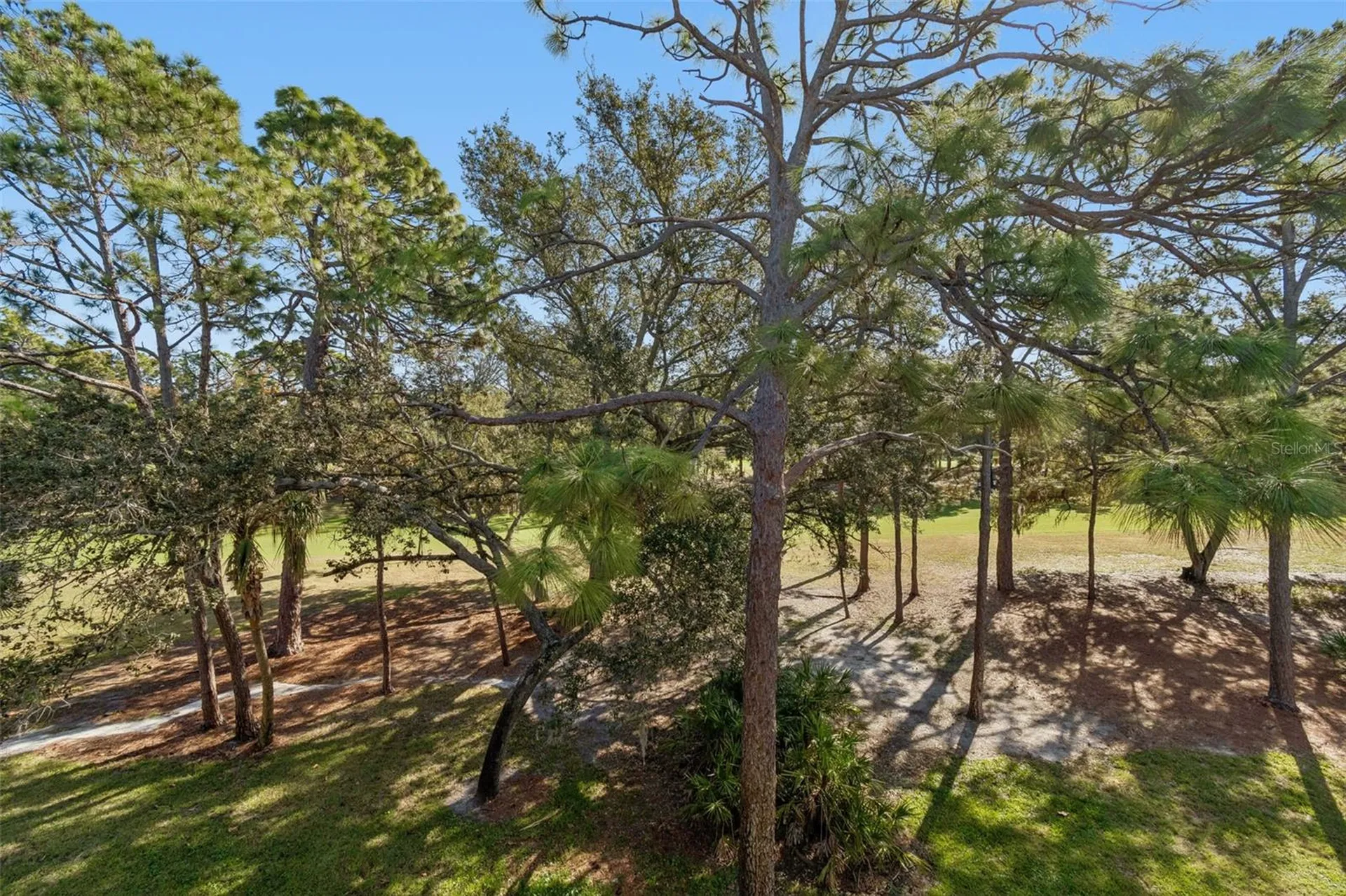 36750 Us Highway 19 N Palm Harbor FL 34684