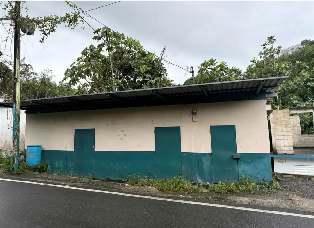 Carr. 344, Km. 1.6 Bo. Jaguitas Hormigueros PR 00660