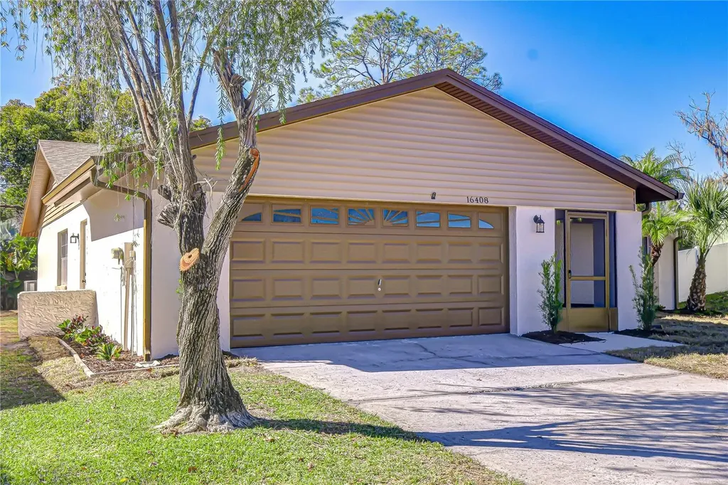 16408 Norwood Drive Tampa FL 33624