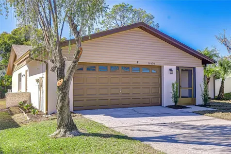 16408 Norwood Drive Tampa FL 33624