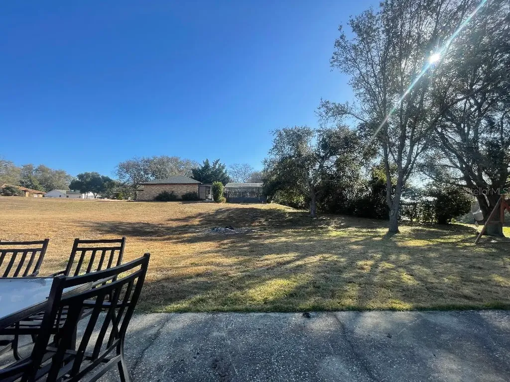 36422 Birdie Court Grand Island FL 32735