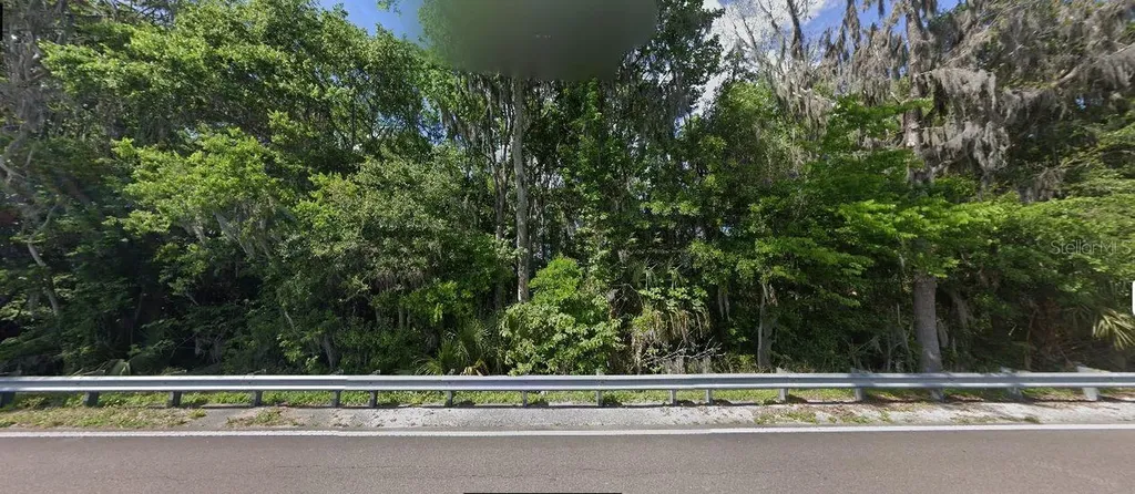 9625 W Highway 318 Reddick FL 32686