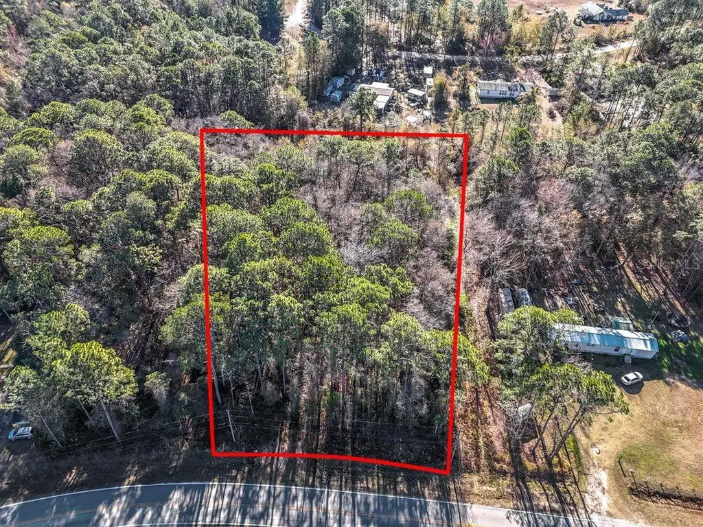 2223 Cosmos Avenue Middleburg FL 32068