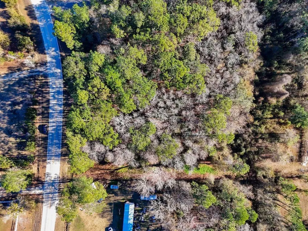 2223 Cosmos Avenue Middleburg FL 32068
