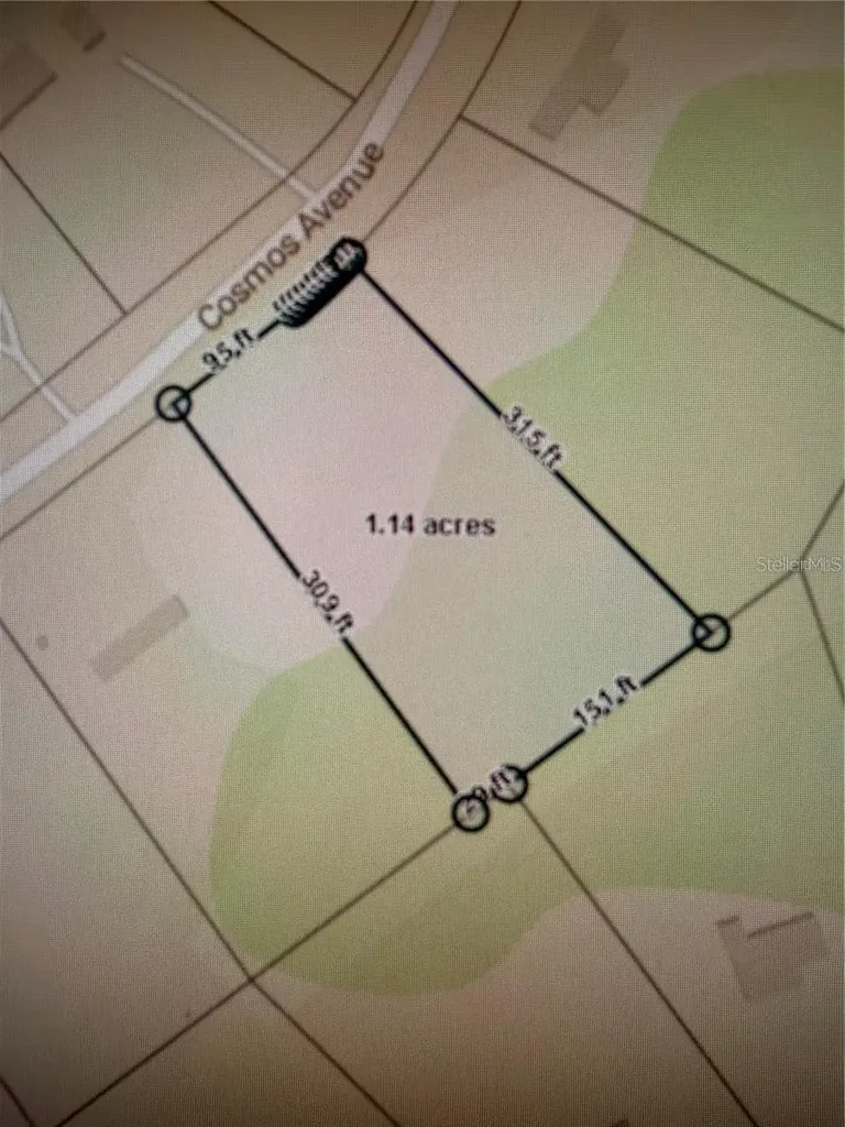 2223 Cosmos Avenue Middleburg FL 32068