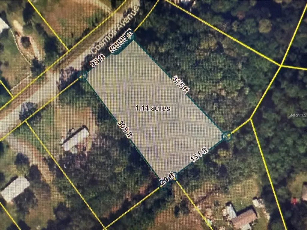 2223 Cosmos Avenue Middleburg FL 32068