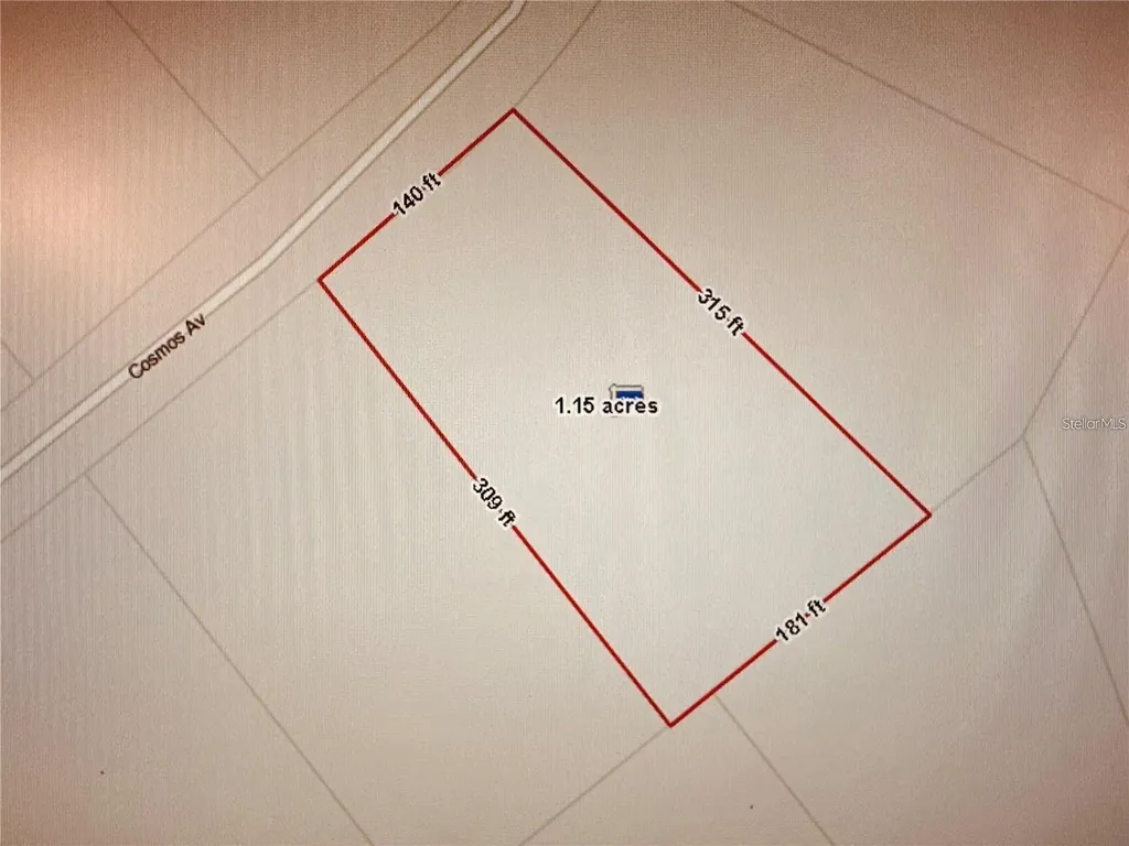 2223 Cosmos Avenue Middleburg FL 32068