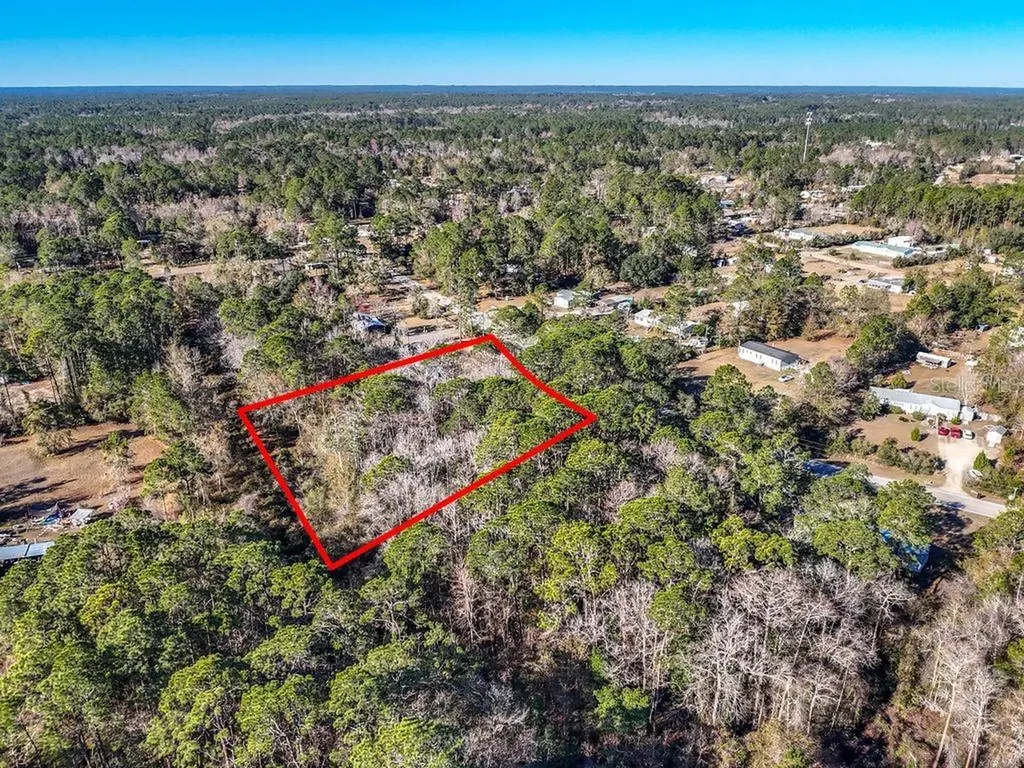 2223 Cosmos Avenue Middleburg FL 32068