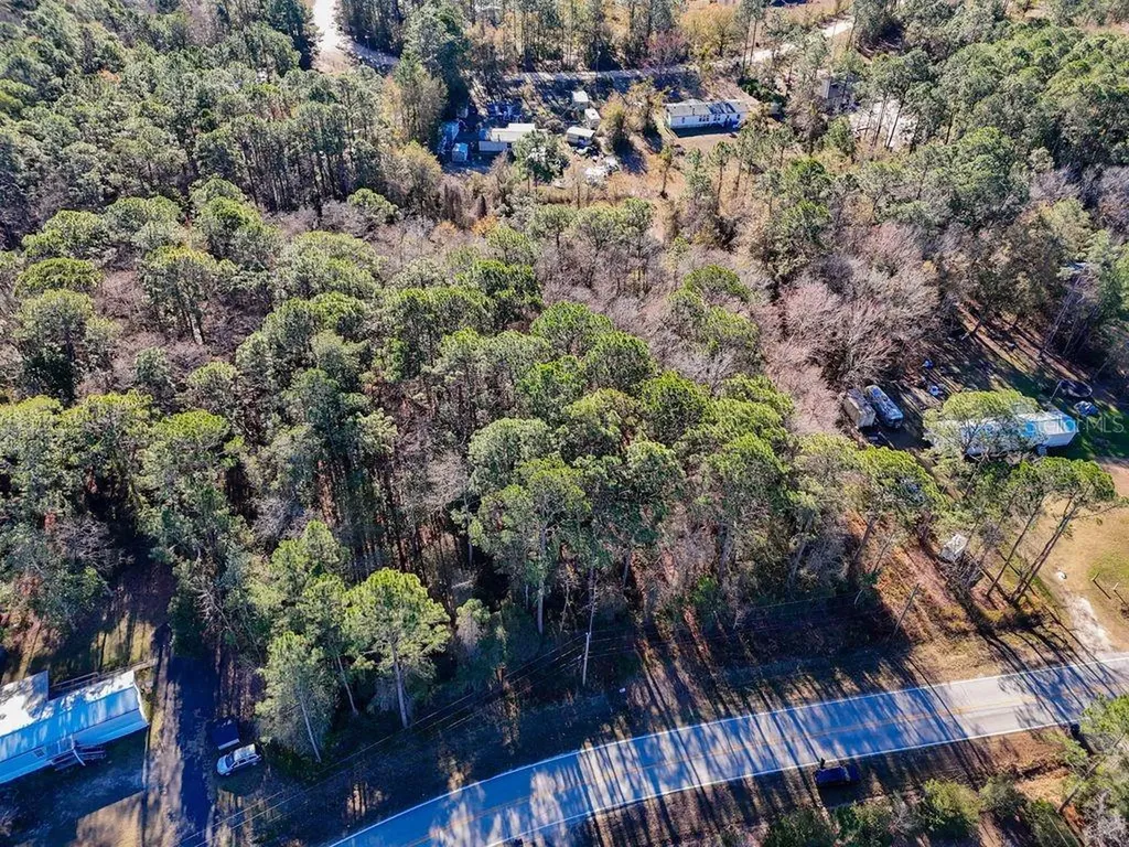 2223 Cosmos Avenue Middleburg FL 32068