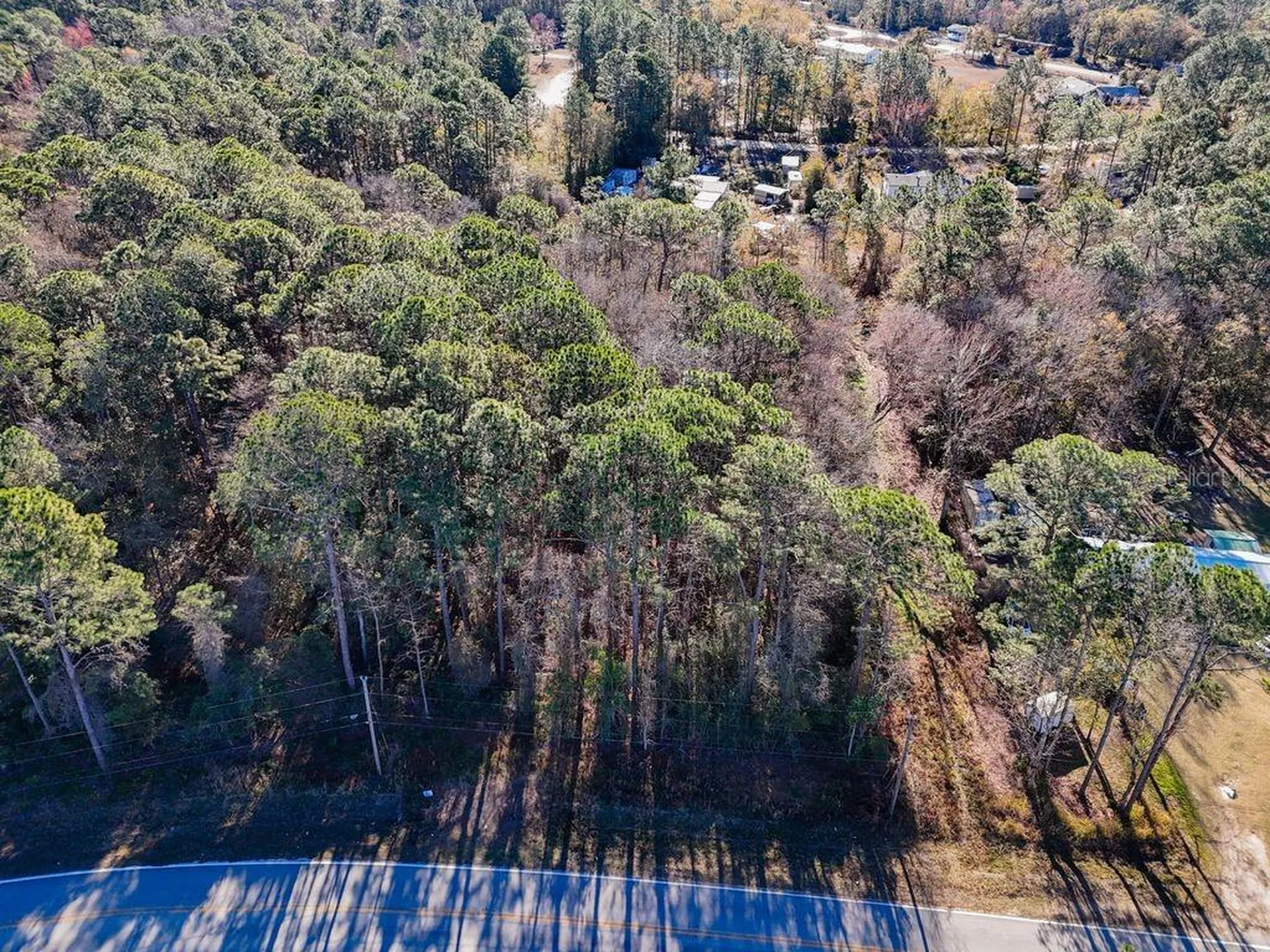 2223 Cosmos Avenue Middleburg FL 32068