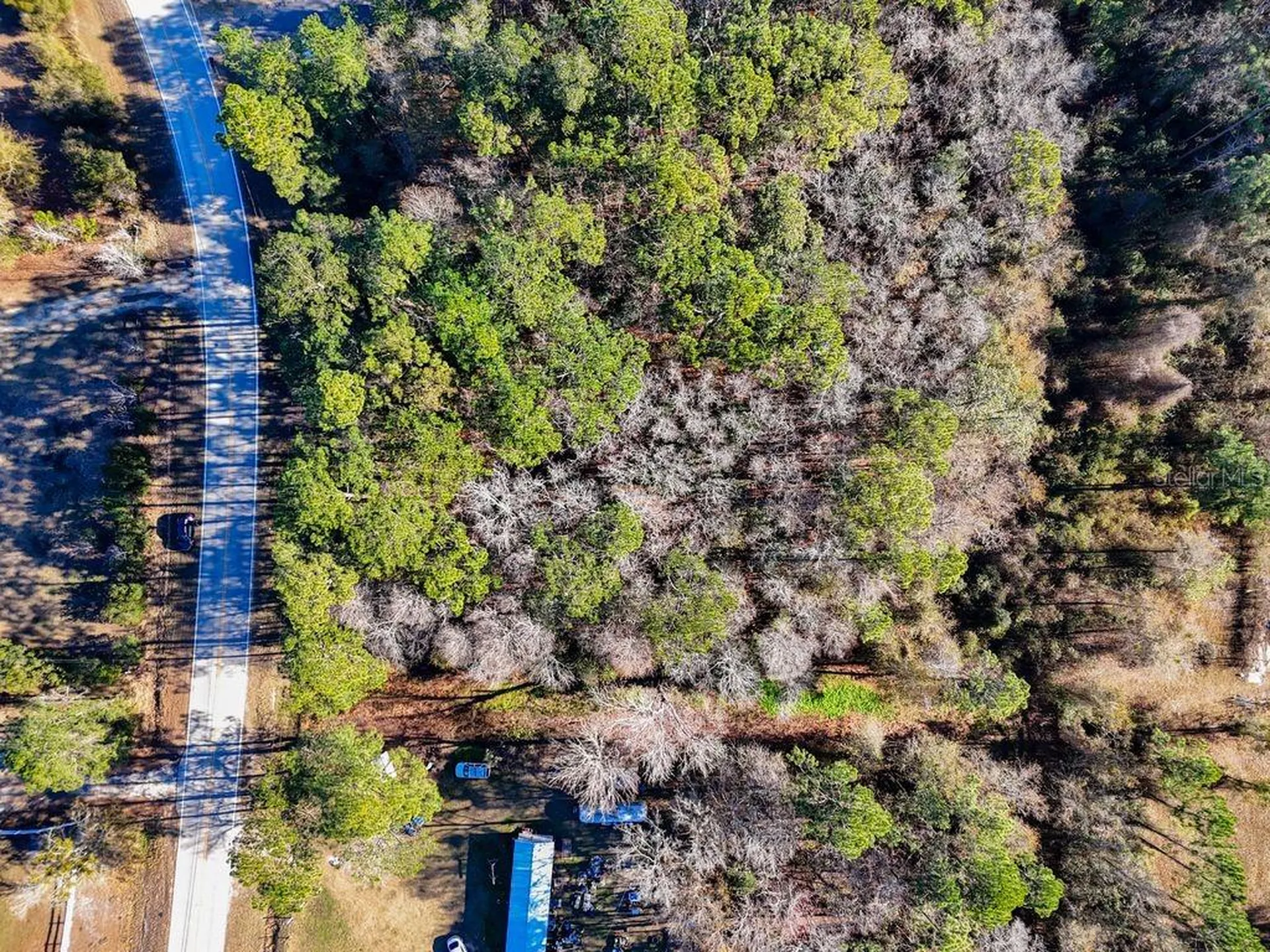 2223 Cosmos Avenue Middleburg FL 32068