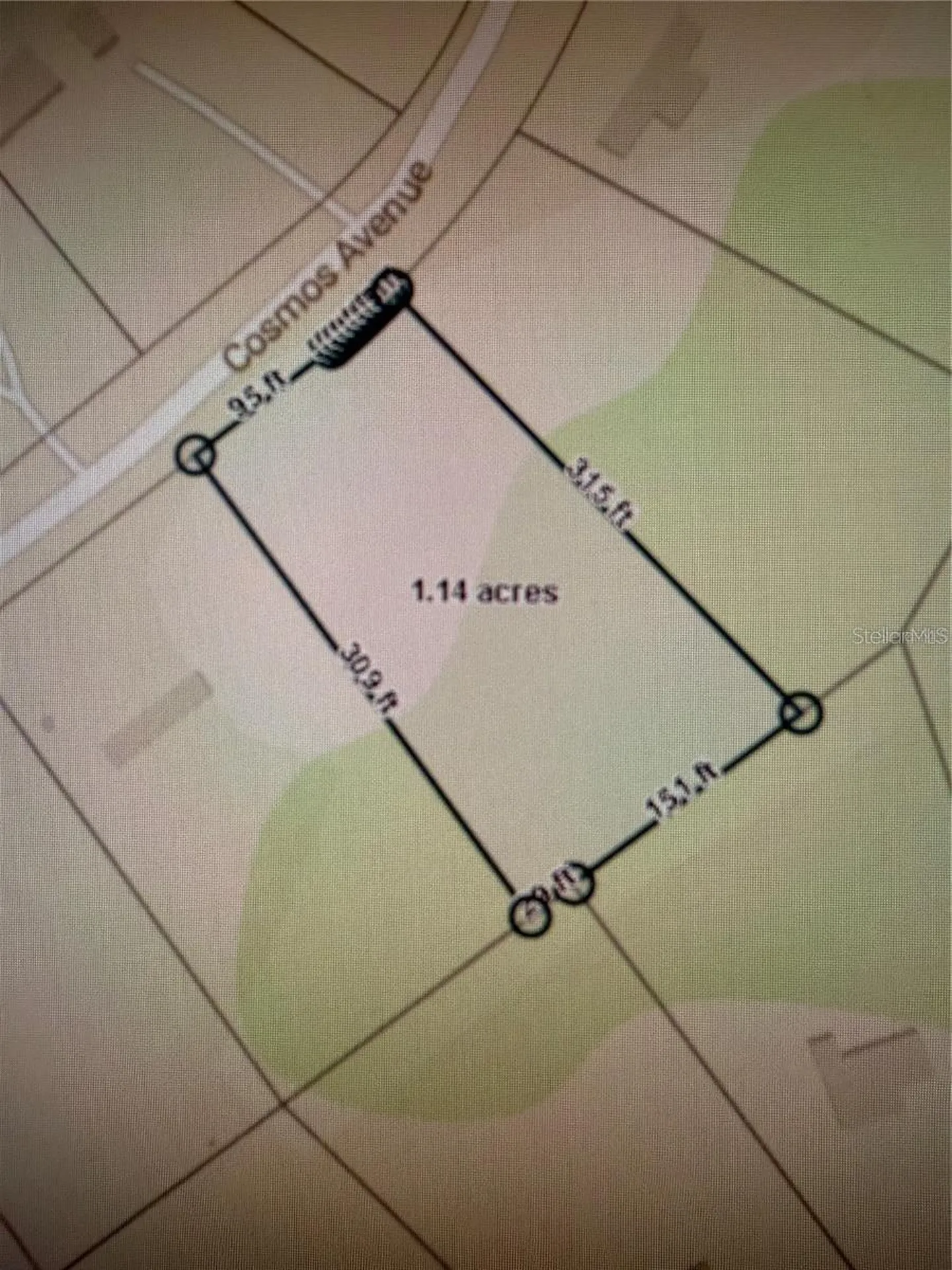 2223 Cosmos Avenue Middleburg FL 32068
