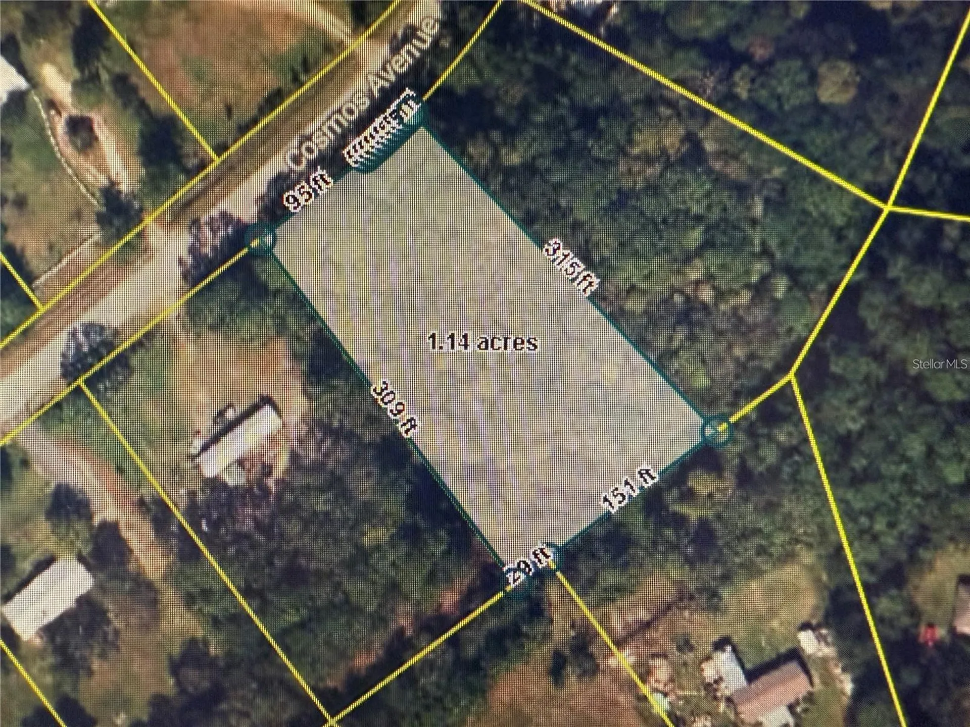 2223 Cosmos Avenue Middleburg FL 32068