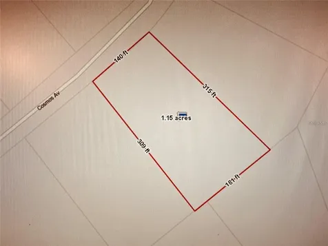 2223 Cosmos Avenue Middleburg FL 32068