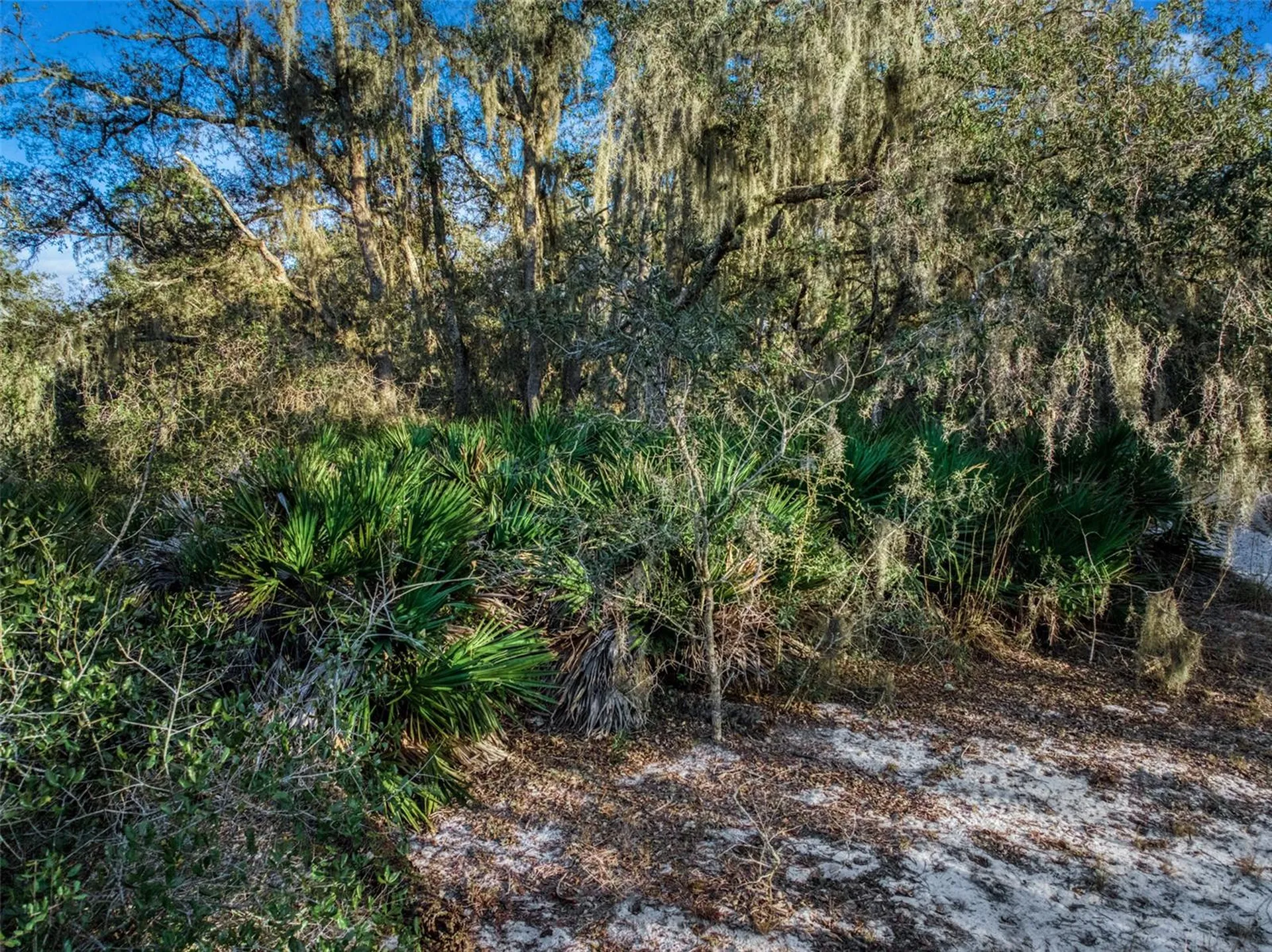5617 Longbow Drive Sebring FL 33876