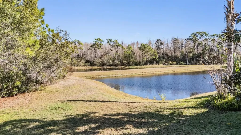 8506 Eagle Brook Drive Land O Lakes FL 34638