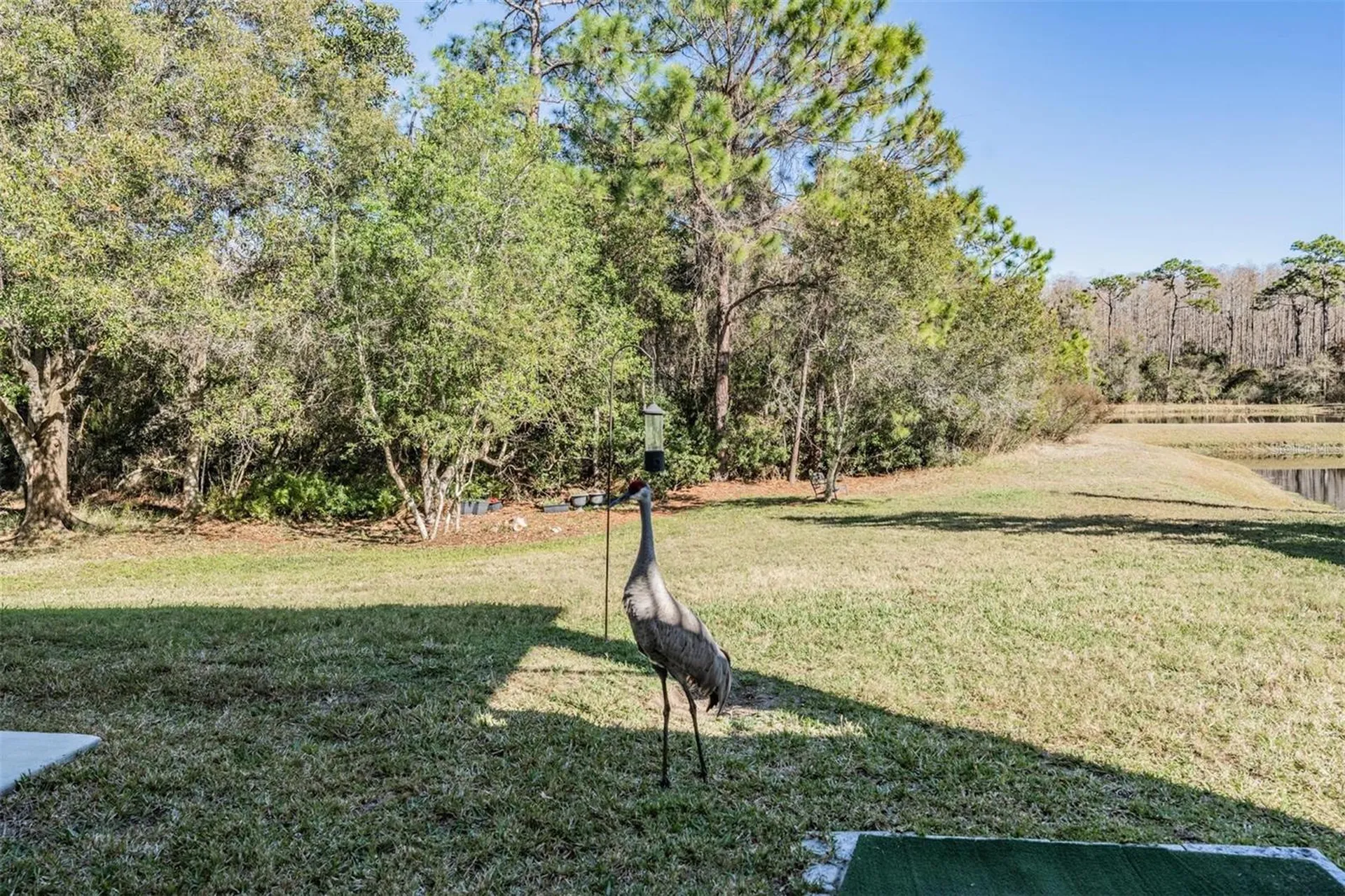 8506 Eagle Brook Drive Land O Lakes FL 34638