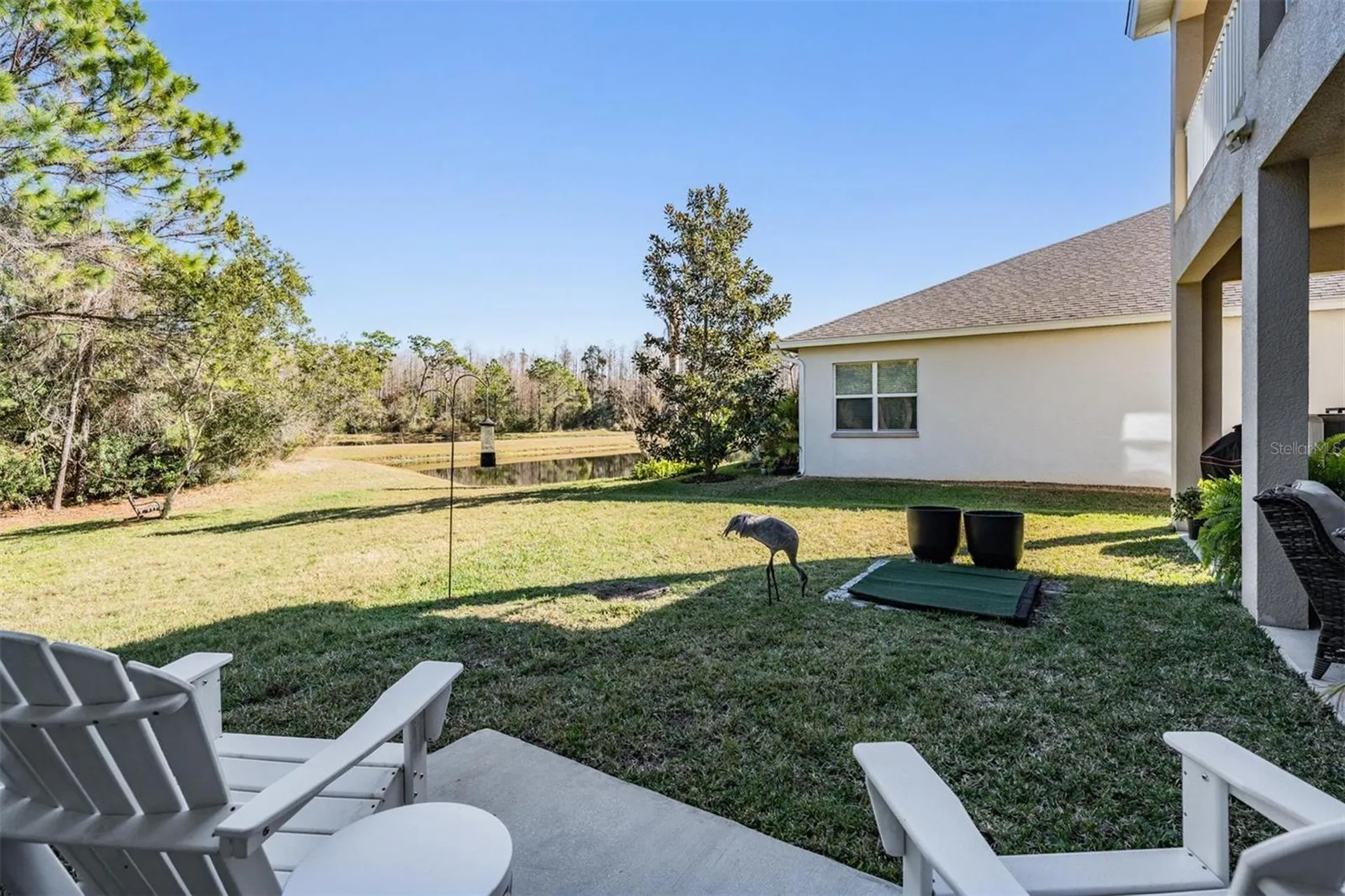 8506 Eagle Brook Drive Land O Lakes FL 34638
