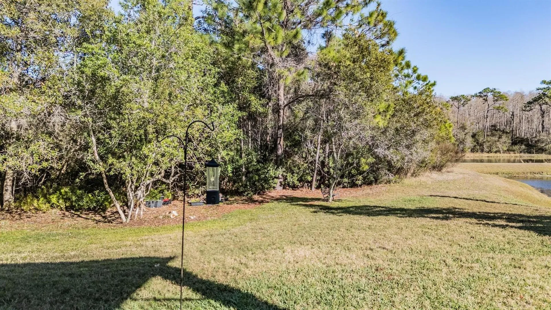 8506 Eagle Brook Drive Land O Lakes FL 34638
