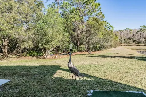 8506 Eagle Brook Drive Land O Lakes FL 34638