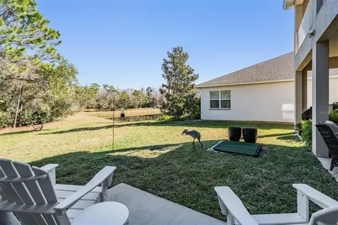 8506 Eagle Brook Drive Land O Lakes FL 34638
