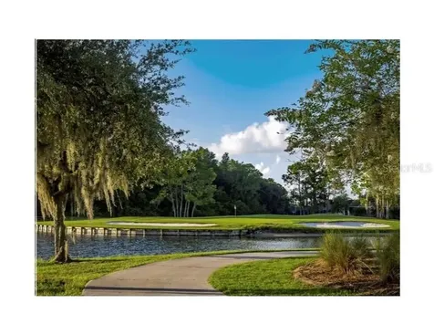 11751 Aintree Court Trinity FL 34655