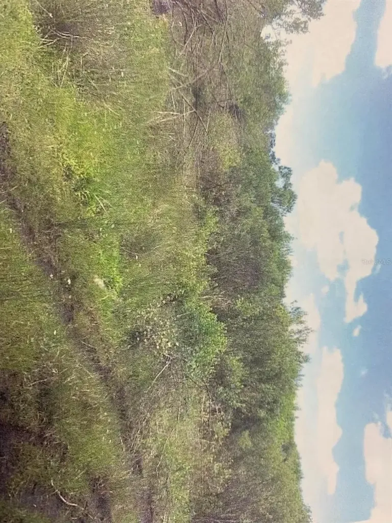0 Simpson Road Kissimmee FL 34744